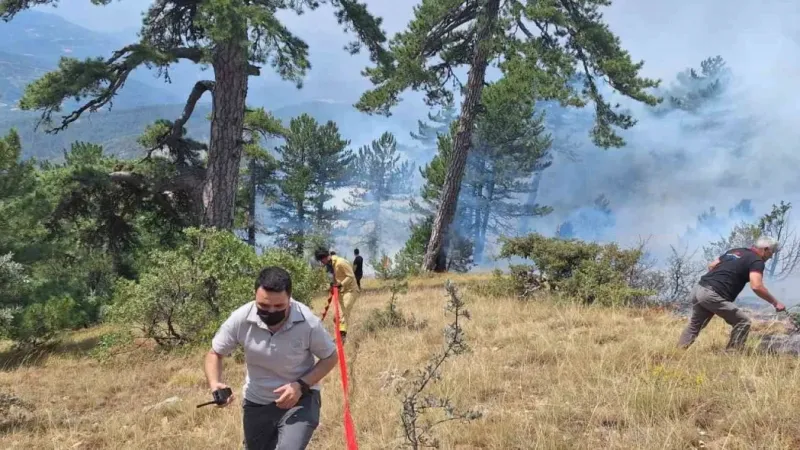 Bolu’da çıkan orman yangını kontrol altına alındı –  Ankara Haber
